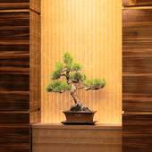 高松東急REIホテル(香川県 ビジネスホテル) / 3