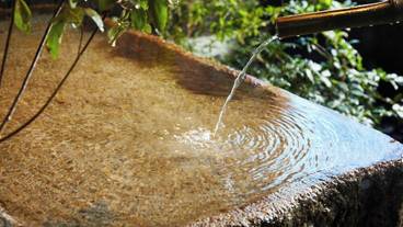 ガーデン ビュー / 4