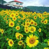 Guest House＆Beach Cafe Fuego（宮崎県 ゲストハウス・ホステル・ドミトリー） / 3