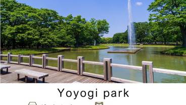 シティ ビュー / 6