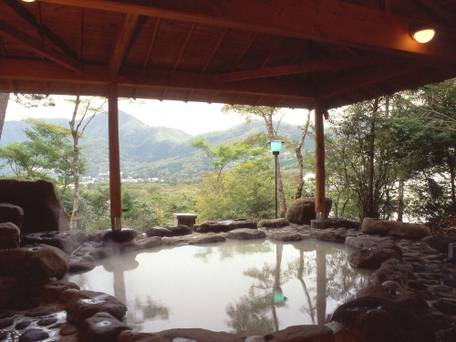 仙石原温泉 仙郷楼 / 3