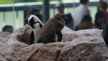 観光スポット / 21