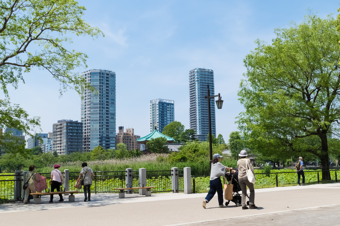 上野公園 不忍池