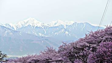 施設からの眺望 / 9