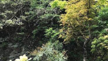 部屋からの景観 / 24