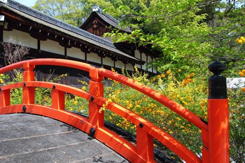 下鴨神社に訪れるなら、1日かけてのんびりと797257