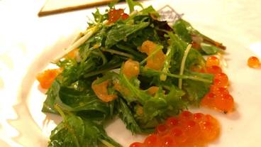 食事・飲み物 / 17