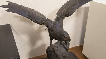 客室の設備とサービス / 17