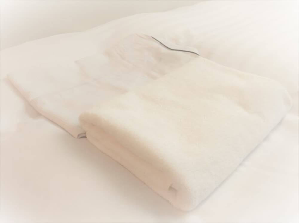 客室の設備とサービス