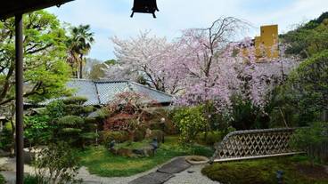 施設からの眺望 / 29