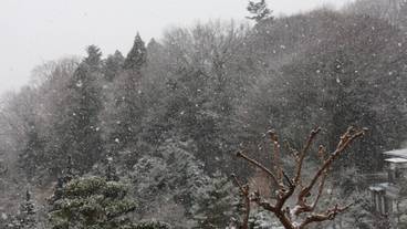 施設からの眺望 / 15