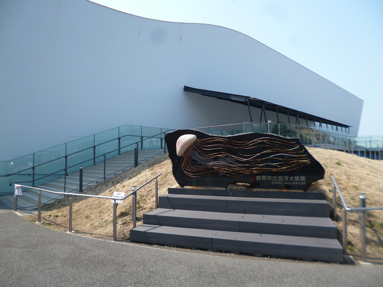 16. 加茂水族館（鶴岡市）2155555
