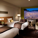 【東京】人混みを避けホテルでお花見♡カップルにおすすめのホテル7選