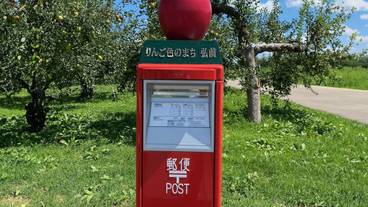 観光スポット / 9