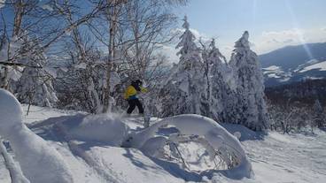 スノー スポーツとスキー / 36