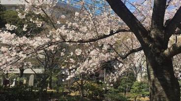 観光スポット / 16