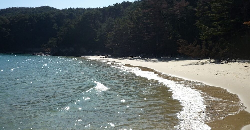 施設からの眺望