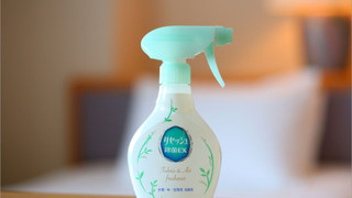 訳ありダブル (禁煙) エレベータドア開閉音あり