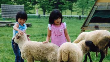 観光スポット / 11