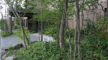 施設の敷地 / 15