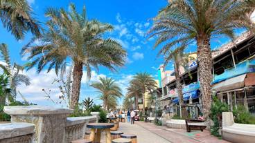 ショッピングモール / 6