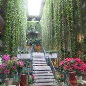 パレスインムーンビーチ（沖縄県 リゾートホテル） / 3