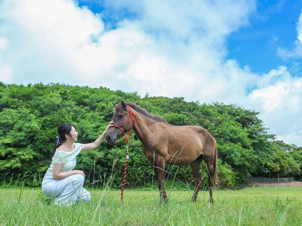 乗馬