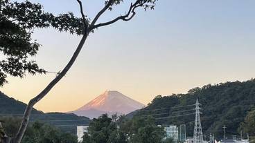 部屋からの景観 / 16