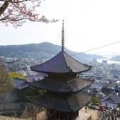 尾道千光寺坂の離庵 ふう（広島県 町家） / 3