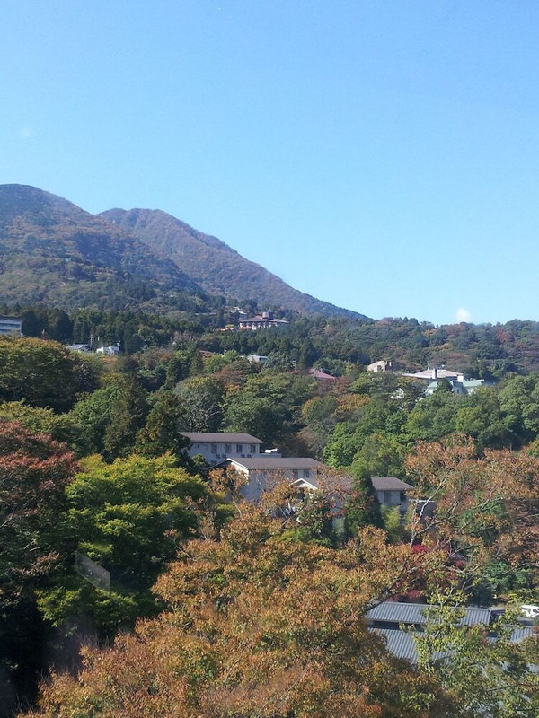 マウンテン ビュー