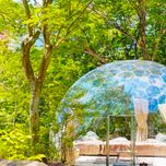 【関東近郊】ワクワクも、NO密も♪スカッと気分転換できる週末プチ旅