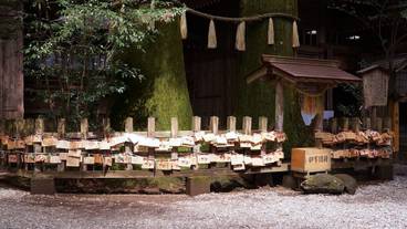 観光スポット / 23