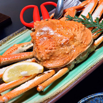 「皆生菊乃家」 料理 153681275 