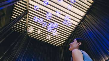 施設の入り口 / 9