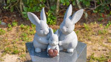 出雲大社 うさぎの石像 / 9