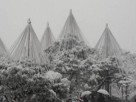 金澤町家シェアハウスGAOoo / 3