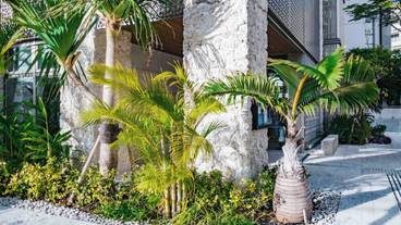 ホテルのグリーン / 10