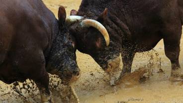 スポーツ設備 / 2