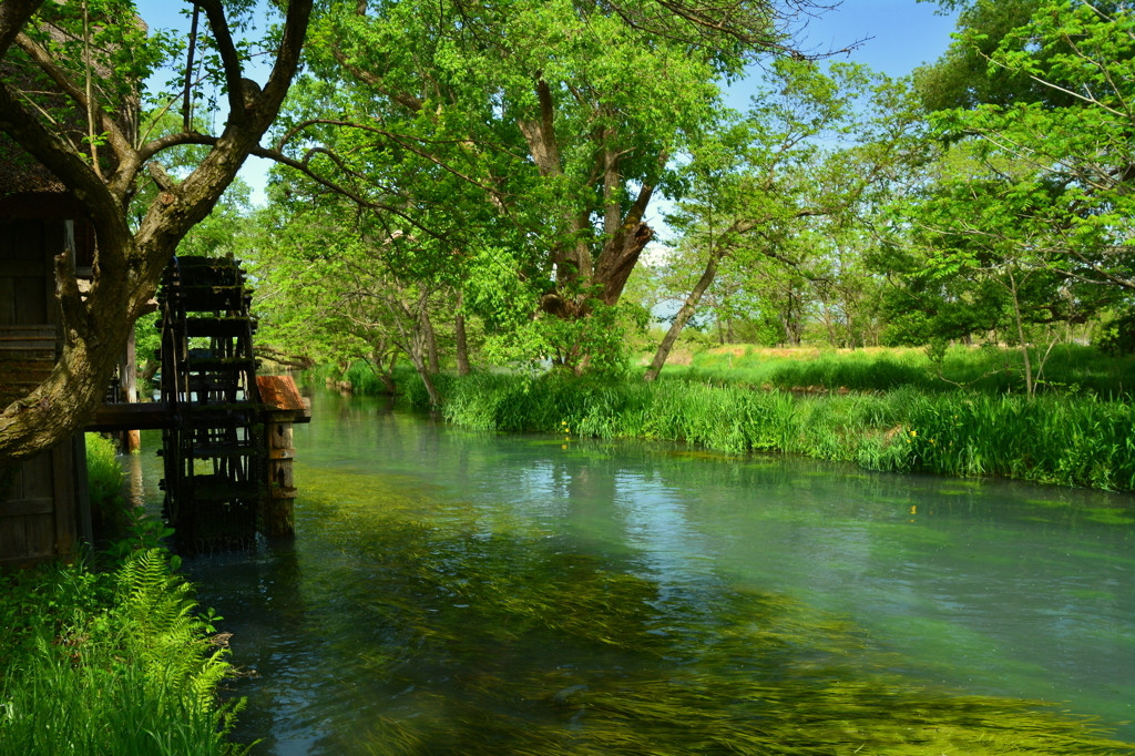 おだやかな田園風景を堪能。北アルプスの湧き水が美しい「大王わさび農場」3702171