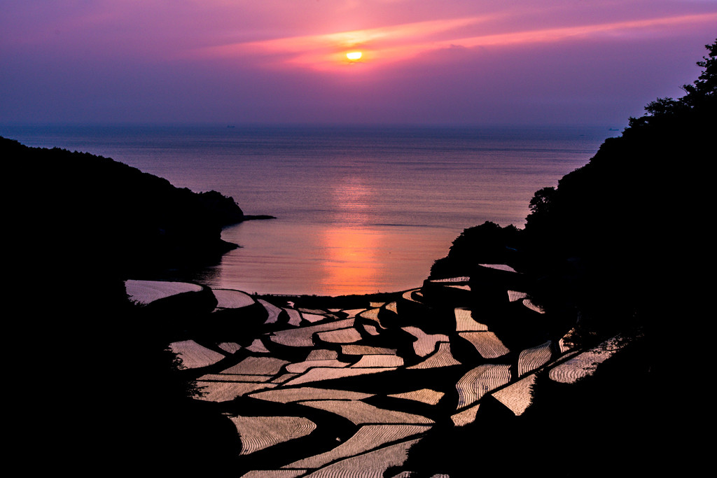 加部島の素晴らしい絶景　杉ノ原放牧場（佐賀県唐津市呼子町）