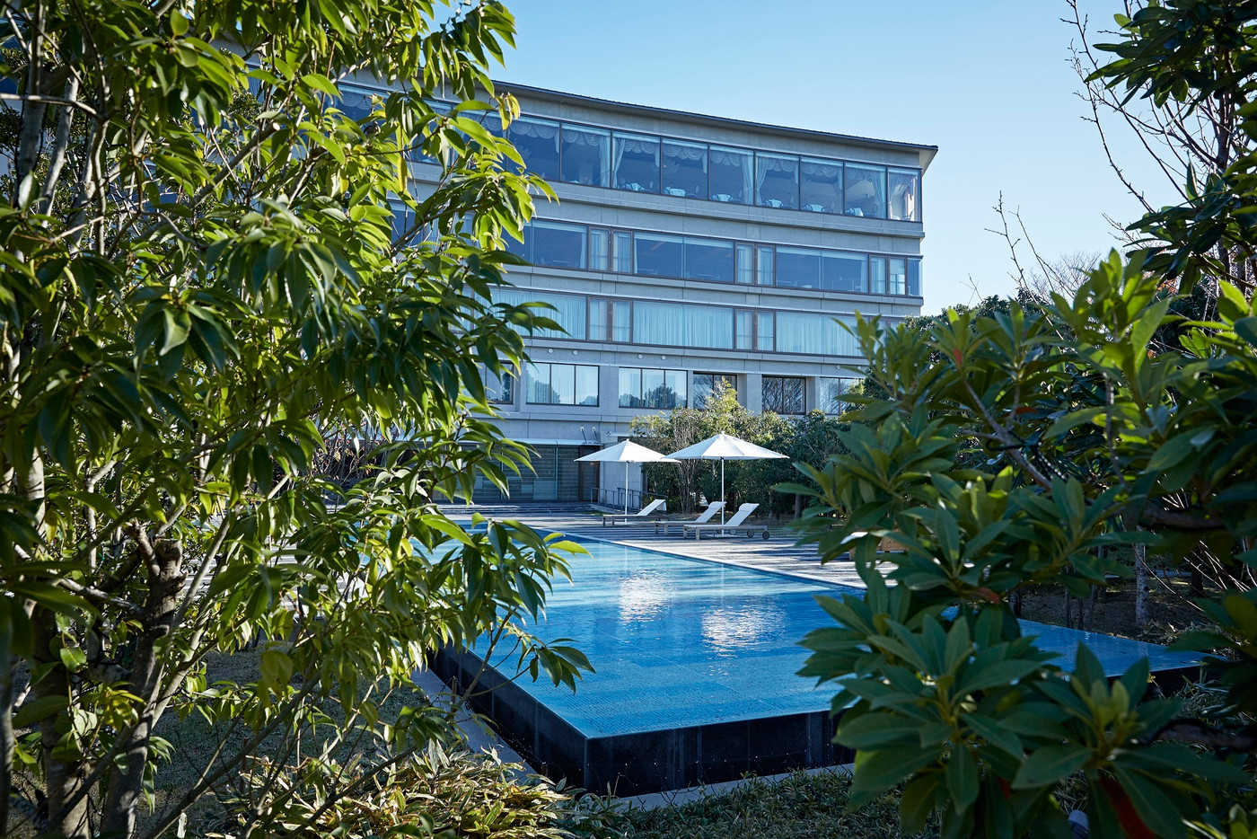 VIP御用達！名門ホテルのプールサイドで自然を感じる豊かな時間を3360598