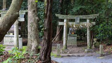 観光スポット / 11