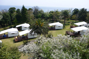 熱海港→初島はフェリーで約30分