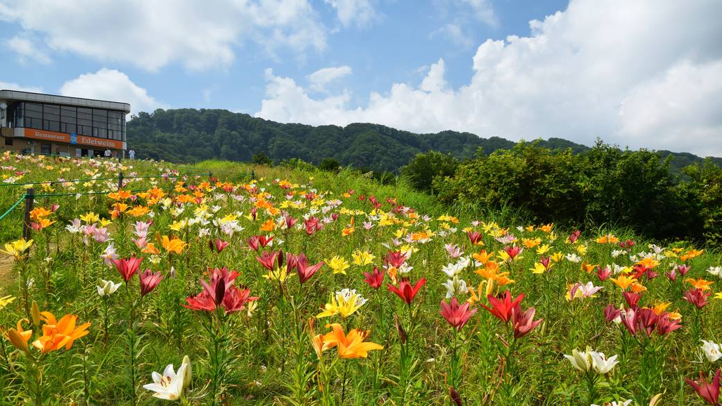 湯沢高原パノラマパーク / 2