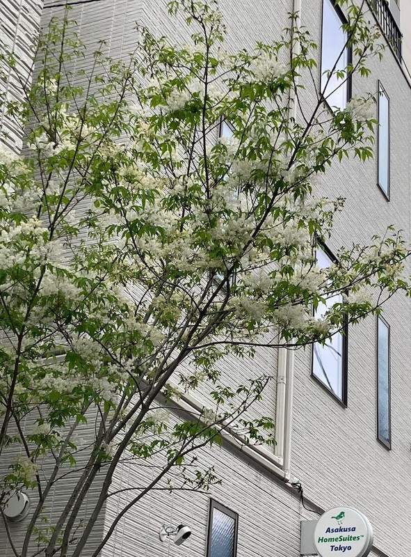 メイン イメージ