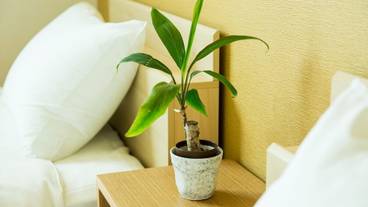 客室の設備とサービス / 11