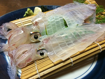 「魚好亭」料理 672382 海が荒れていたので長崎まで買い付けに行ったというイカのお刺身。
