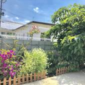 ぬちぐすいハウス（NUCHIGUSUI-HOUSE）（沖縄県 コテージ・ロッジ・一棟貸） / 2