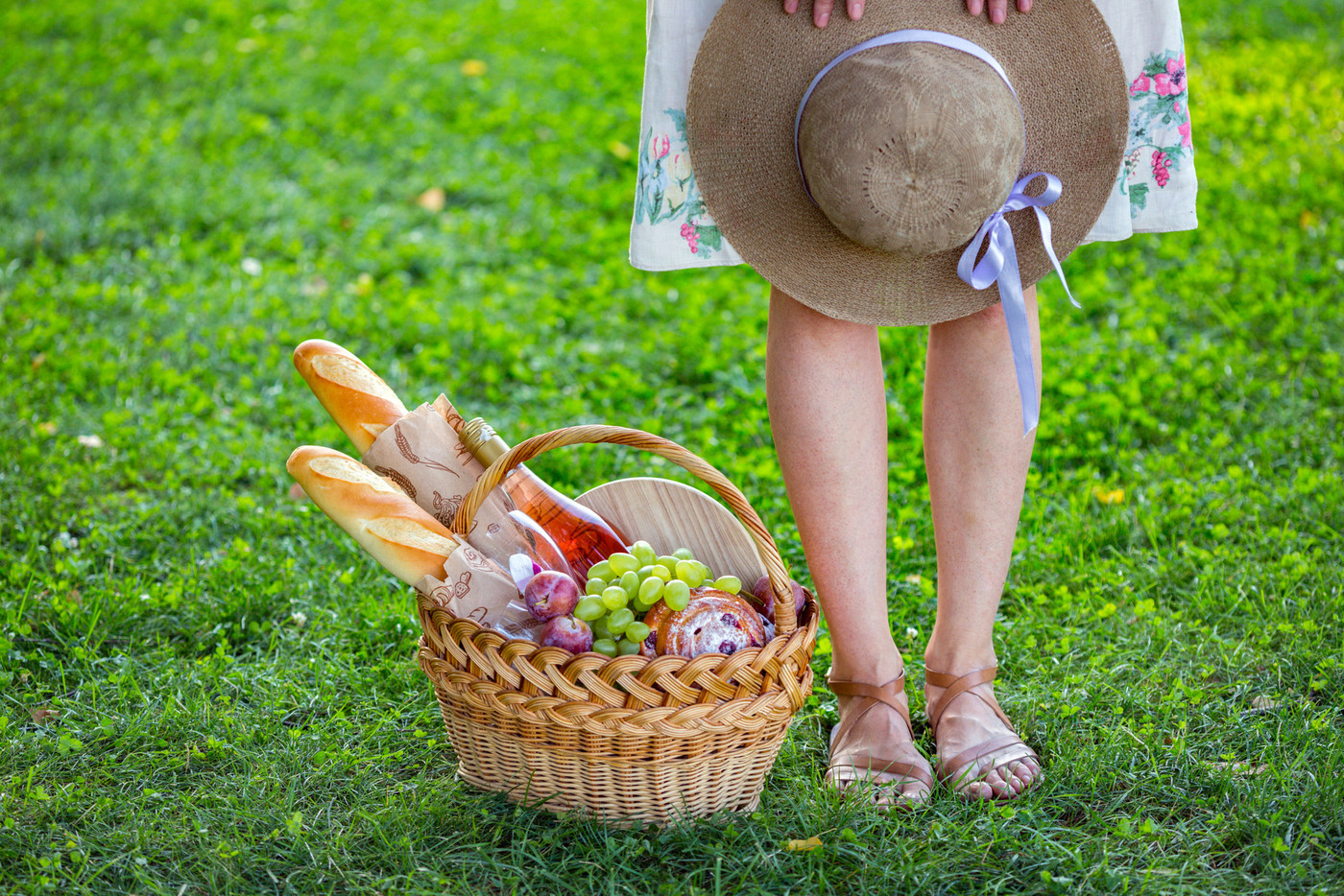 Picnic in the meadow