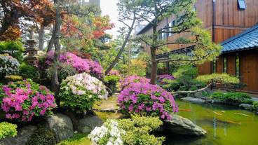 日本庭園 / 18